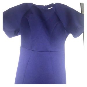 Navy Blue Fitted Dress